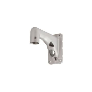 Outdoor Dome & Fisheye Mount (Gray)